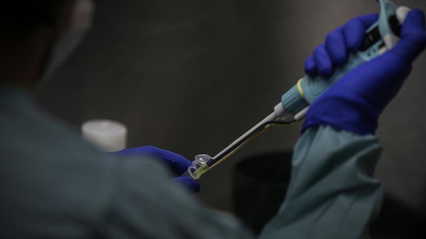 Selçuk Üniversitesinde Kovid-19 aşısının hayvan deneyleri tamamlandı